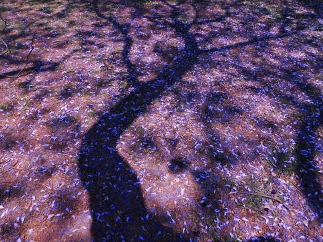 foto:José Gutiérrez  - lo hecho en México