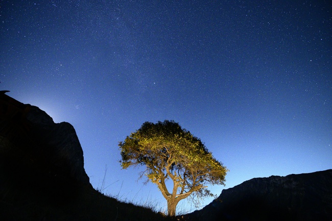 foto:Rodrigo Alvarez  - lo hecho en México