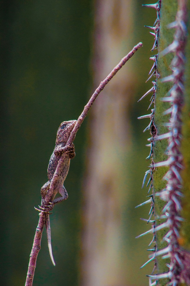 foto:Hervey Garcia Garcia  - lo hecho en México