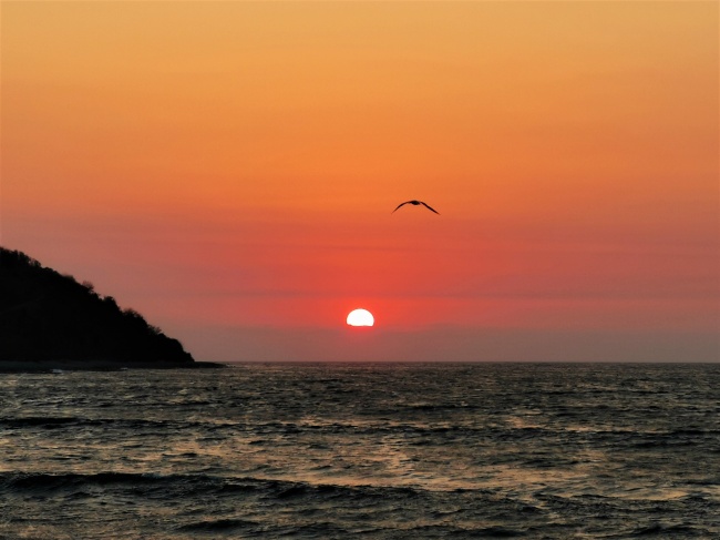 foto:Carlos Rios Saucedo  - lo hecho en México