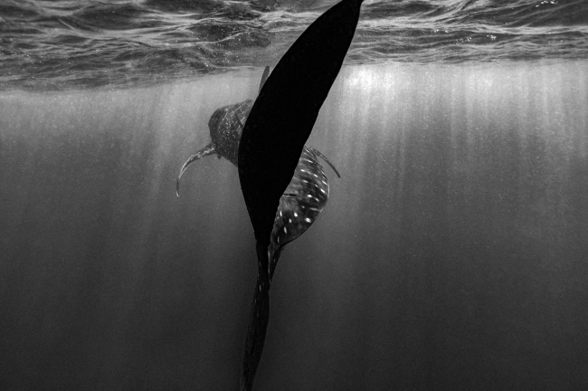 foto:Nelly Georgina Quijano Duarte  - lo hecho en México