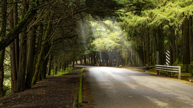 foto:Miguel Calderón Aguilar  - lo hecho en México