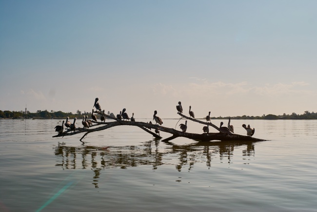 foto:Cristóbal Omar Perales Morales  - lo hecho en México