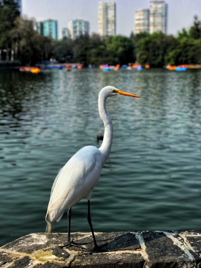 foto:DENNY GARCIA REGALADO  - lo hecho en México