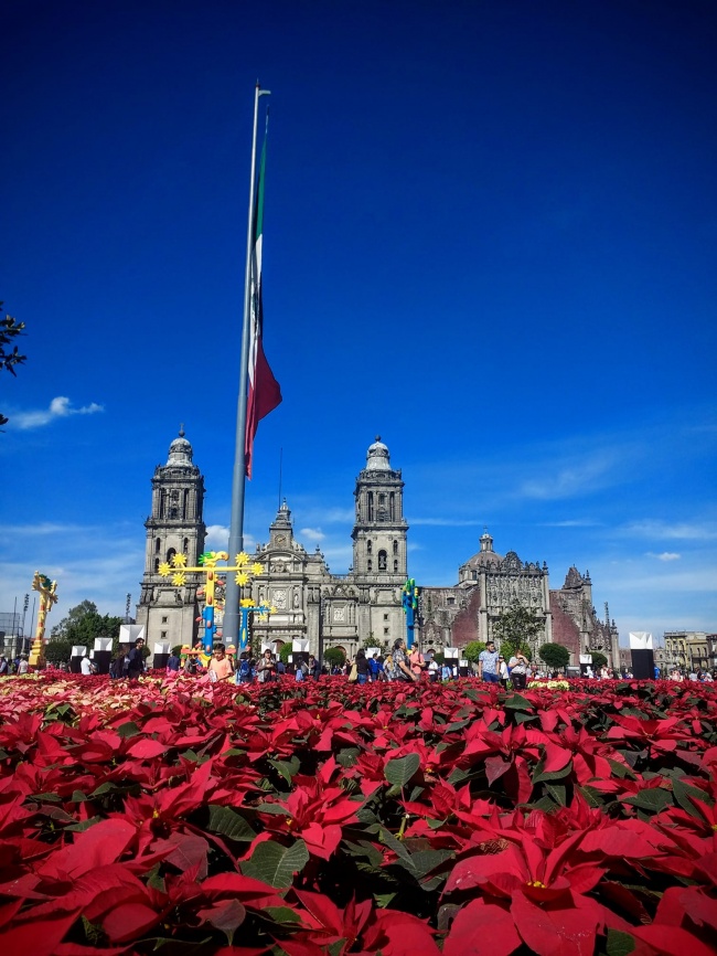 foto:HUGO ALBERTO POZOS SANTOYO  - lo hecho en México