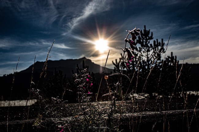 foto:Angélica Columba Márquez Mireles  - lo hecho en México