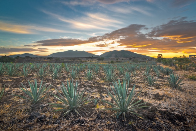 foto:Ismael Lugo Montaño  - lo hecho en México