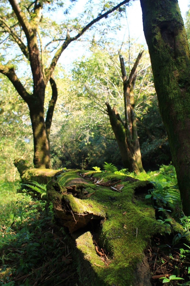 foto:Regina López Sánchez  - lo hecho en México