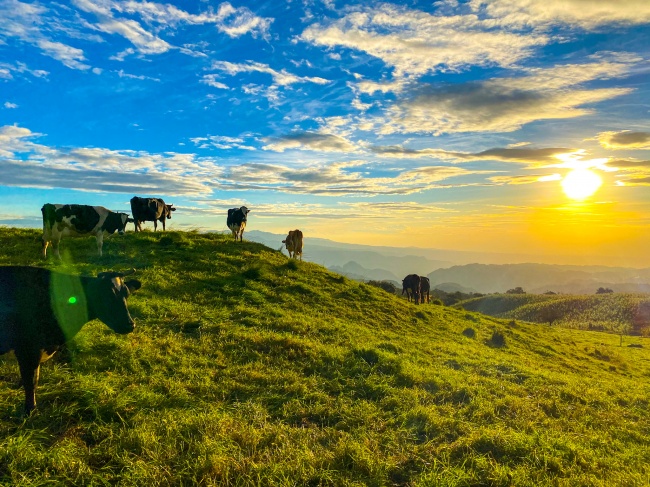foto:César Castellanos Antonio  - lo hecho en México