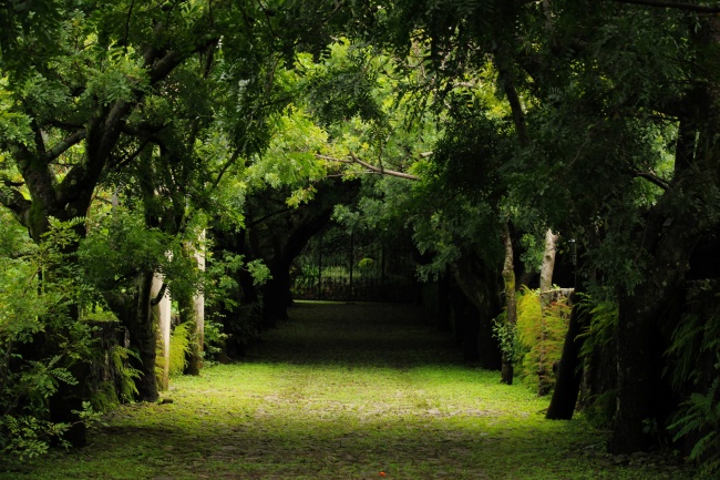 foto:Kenia Quintana  - lo hecho en México
