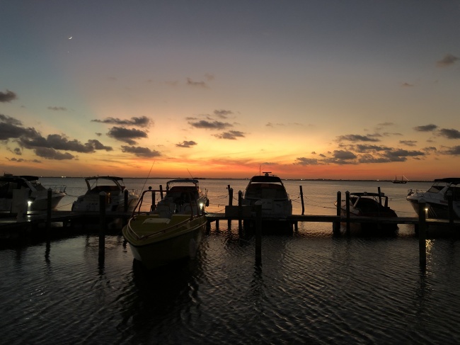foto:Andrés Martinez Mendoza  - lo hecho en México