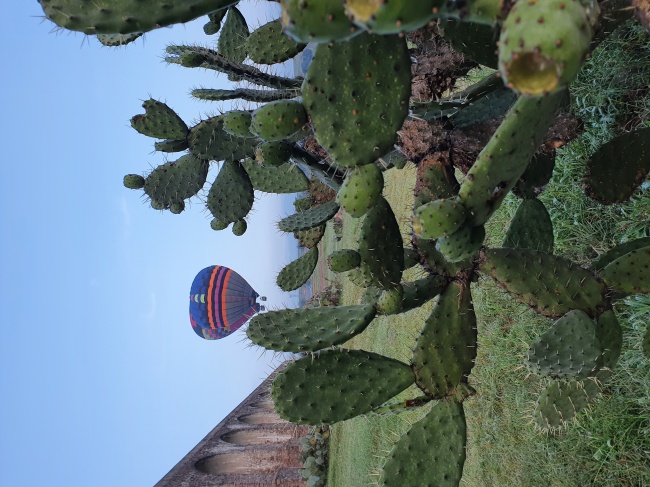 foto:Ceres Abril Rea Amaya  - lo hecho en México