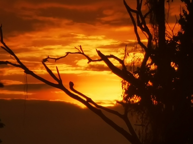 foto:Juan Carlos Bolaina García  - lo hecho en México