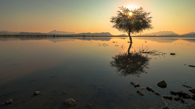 foto:Asael Covarrubias Tamez  - lo hecho en México