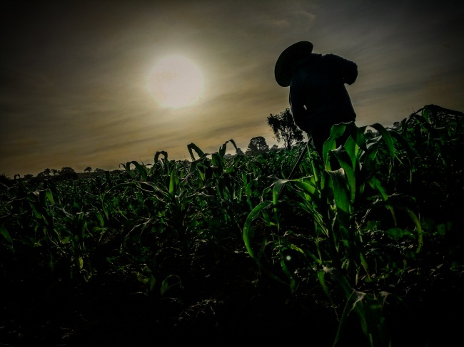 foto:Iveth Linares Abraján  - lo hecho en México