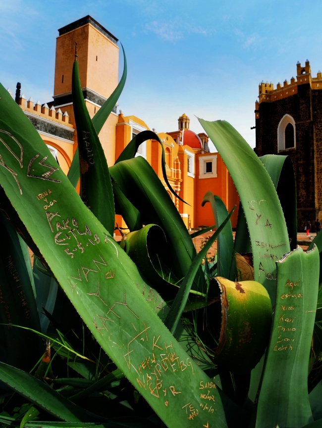 foto:JOSÉ FÉLIX BARAJAS MENDOZA  - lo hecho en México