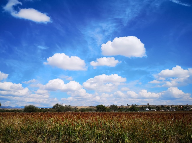 foto:Fatima Soledad Belman González  - lo hecho en México