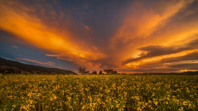 foto:Mario Alberto Bastida Vargas  - lo hecho en México