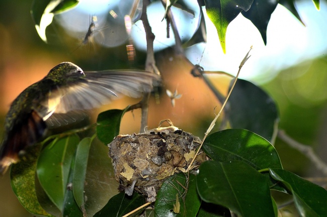 foto:César López Chávez  - lo hecho en México
