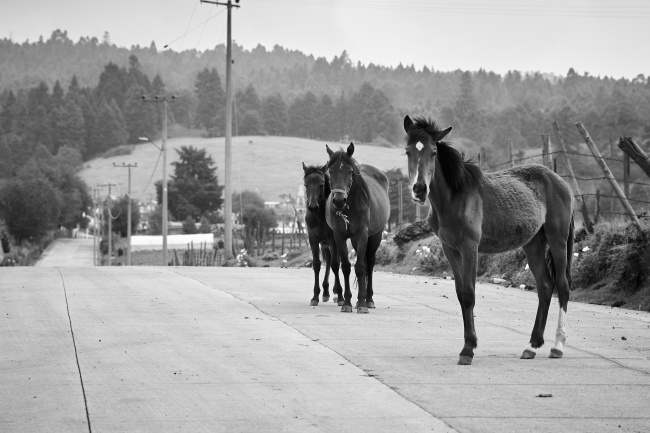 foto:Eduardo Cardenas Garay  - lo hecho en México