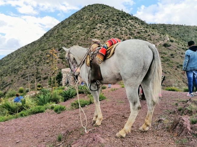 foto:Gabriela Jiménez González  - lo hecho en México