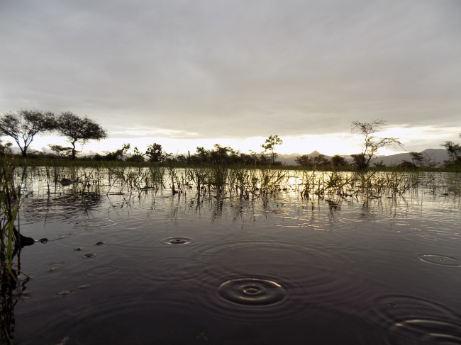 foto:SAMUEL MARTÍNEZ LOPEZ  - lo hecho en México