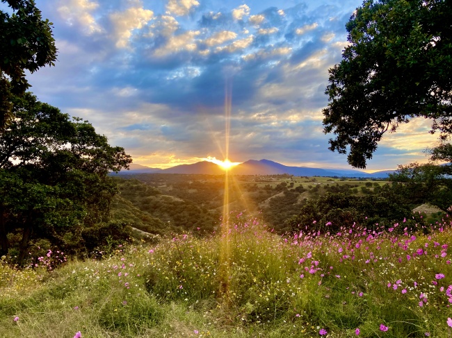 foto:Isrrael gomez  - lo hecho en México