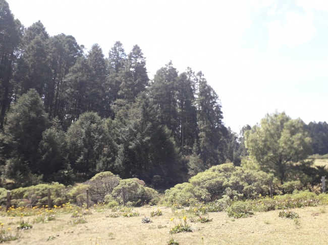 foto:Gloria leticia manguem yam  - lo hecho en México