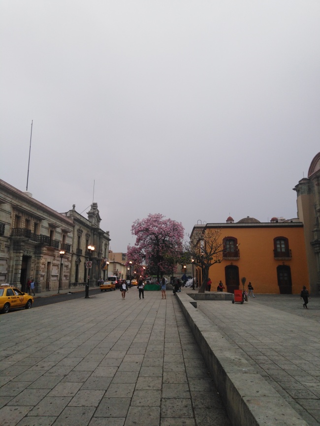 foto:Ruffo Cain López Hernández  - lo hecho en México