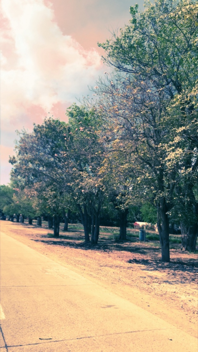 foto:Mariana Rodríguez Moreno  - lo hecho en México