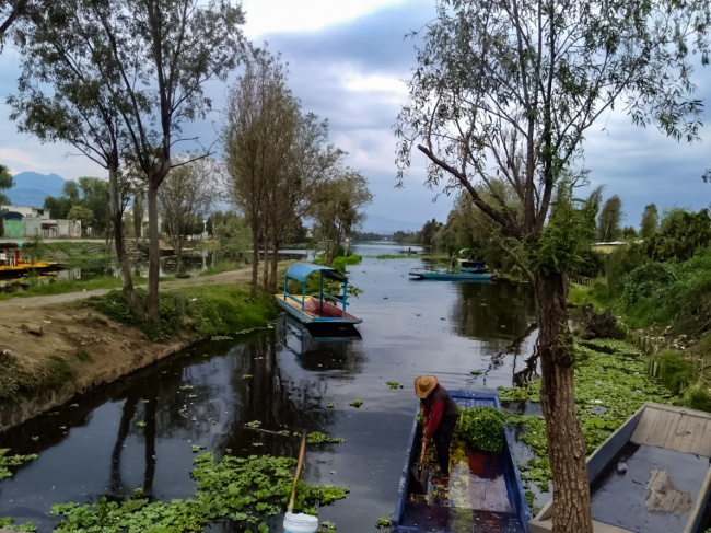 foto:Norma Castro Zamora  - lo hecho en México