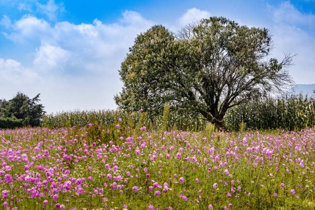 foto:Fabiola Marina Sáenz Cózar  - lo hecho en México