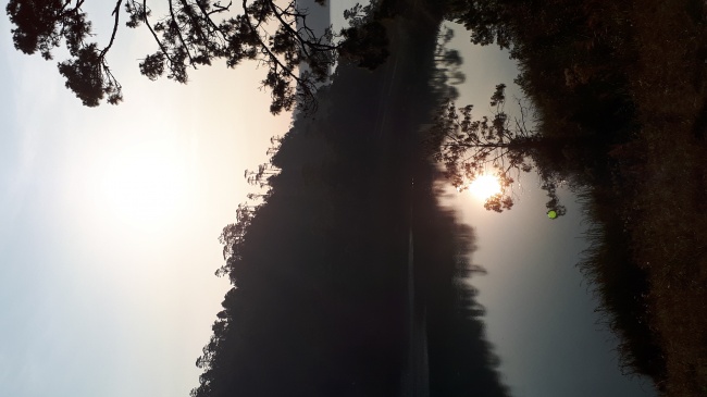 foto:Angélica Guadalupe Peña Fuentes  - lo hecho en México