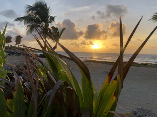 foto:Luis Jair  - lo hecho en México
