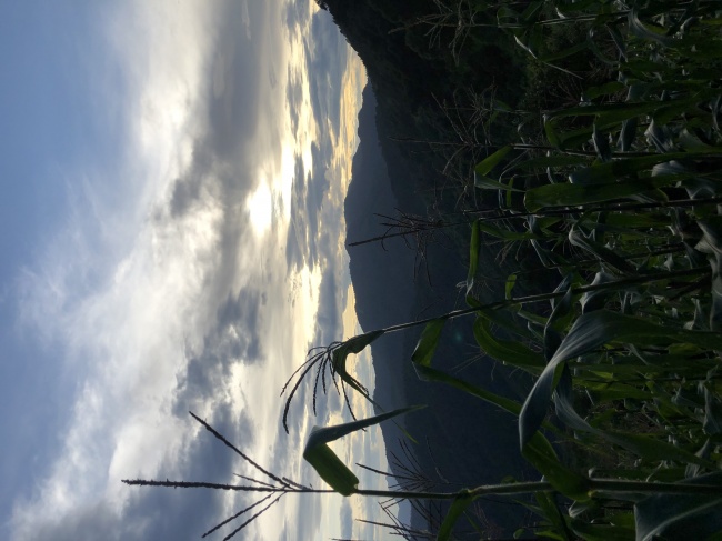 foto:Juan Carlos Mejía Bermúdez  - lo hecho en México