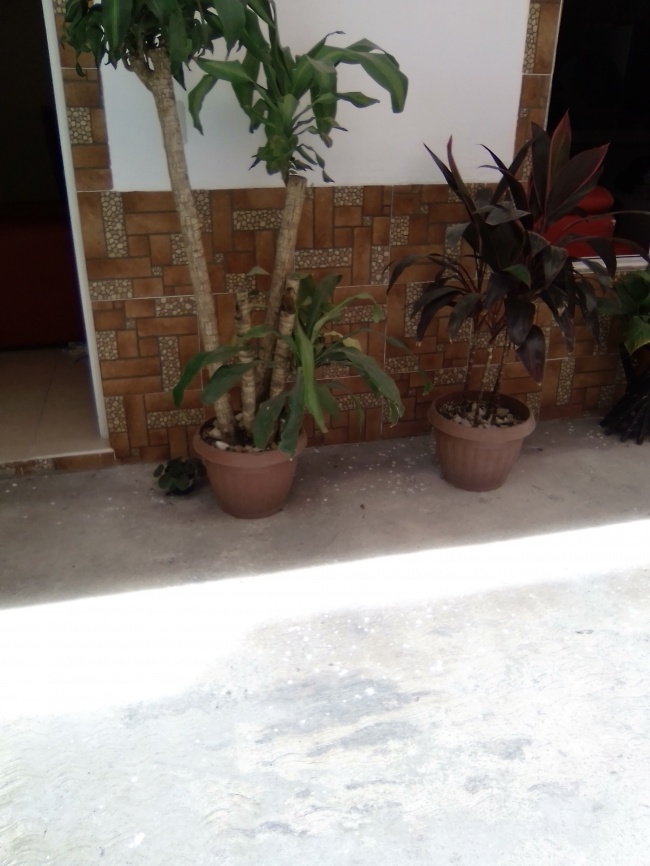 foto:Cristian Jesús Pérez huerta  - lo hecho en México