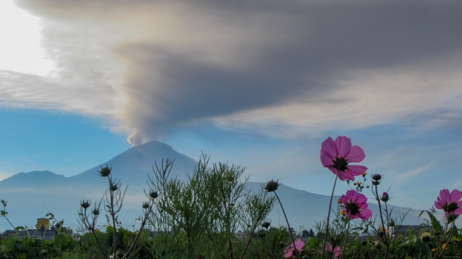 foto:Juan israel de la cruz contreras  - lo hecho en México