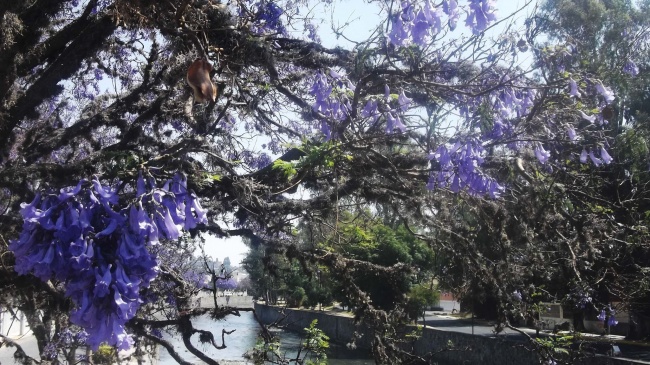 foto:Tania Xochitl Humarán Curet  - lo hecho en México