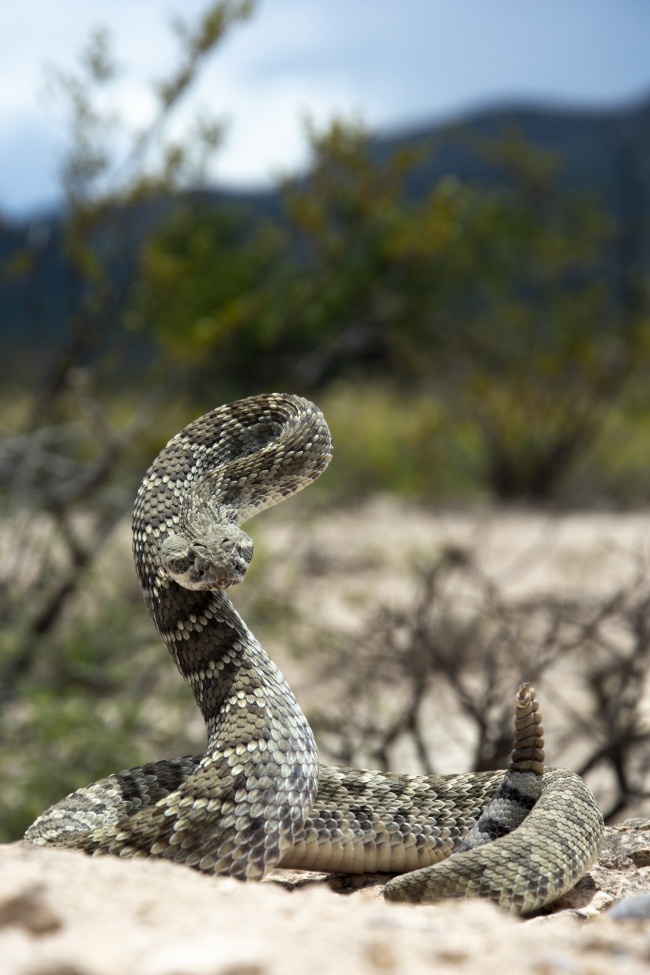 foto:Manlio Martínez Barona  - lo hecho en México