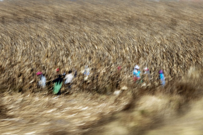 foto:Elda Gabriela Jiménez Hernández  - lo hecho en México