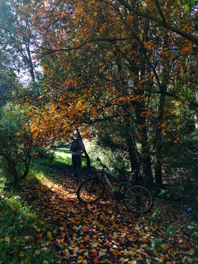 foto:Ana Karen Vivar Vivar  - lo hecho en México
