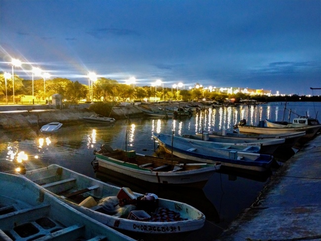 foto:Georgina Gamas de la Fuente  - lo hecho en México