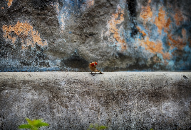 foto:Elideth Fernández Villegas  - lo hecho en México
