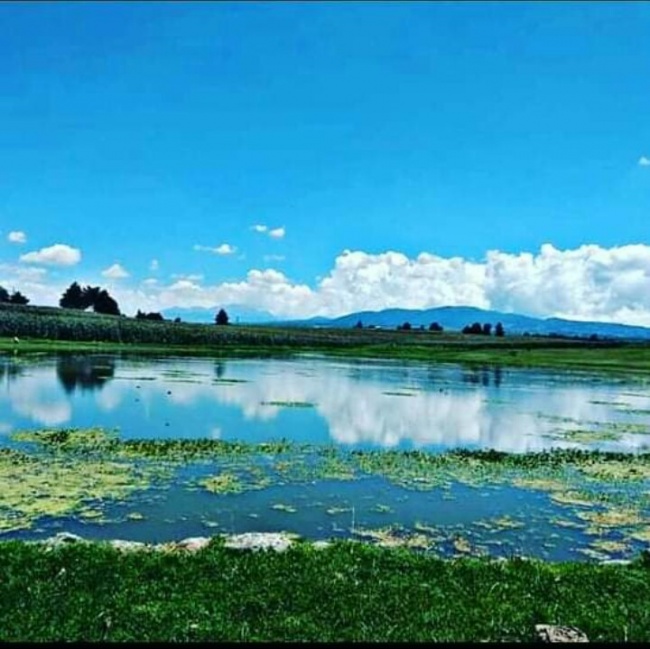 foto:Nayeli Fabila Hernandez  - lo hecho en México