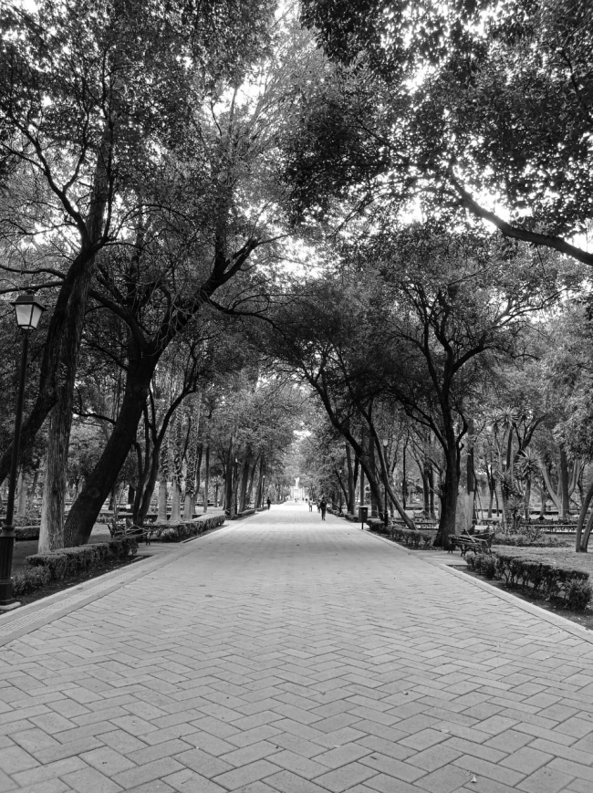 foto:Omar Razo  - lo hecho en México