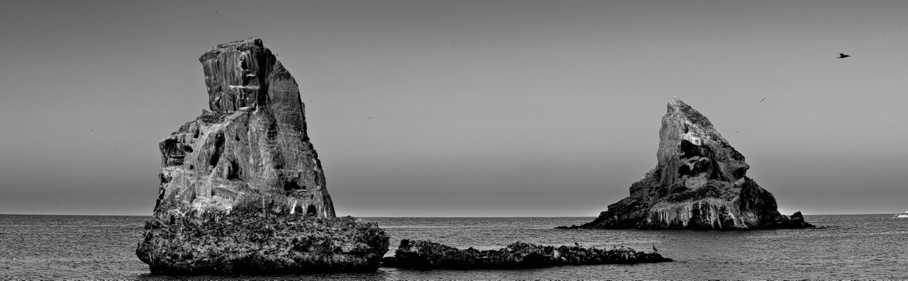 foto:Jorge Luis Mercado Ortega  - lo hecho en México