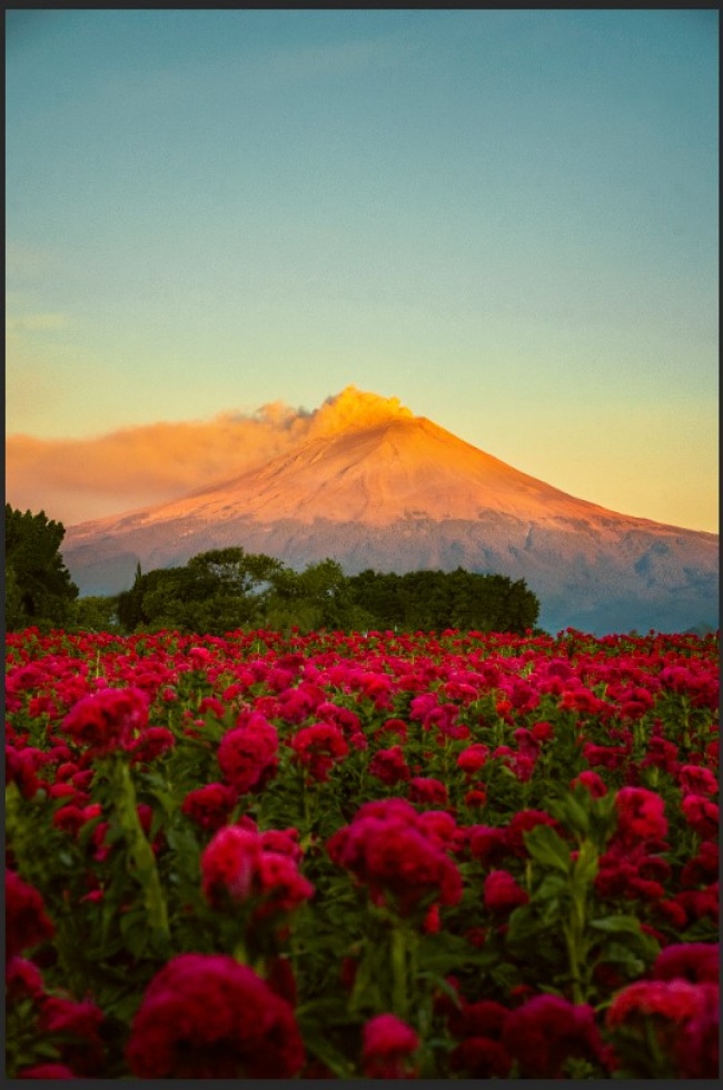 foto:JESUS ALEJANDRO VILLANUEVA LUNA  - lo hecho en México