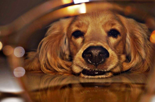 foto:Josadoc Peña  - lo hecho en México