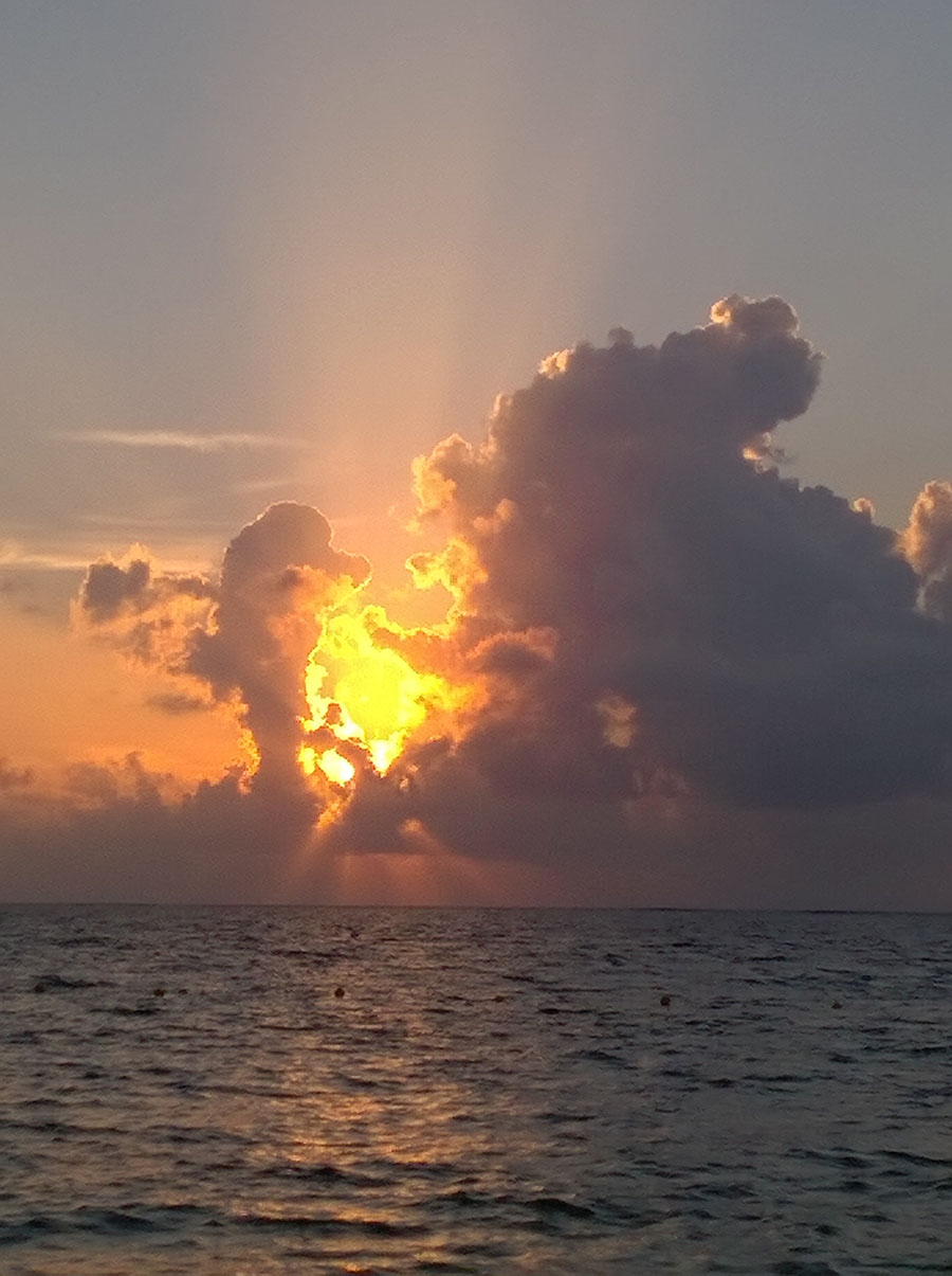 foto:Laura Elena Ibarguen  - lo hecho en México