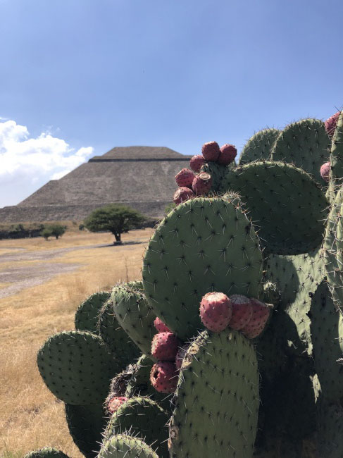 foto:Camila López Jalil  - lo hecho en México